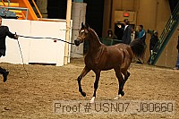 usn07_j00660 proof