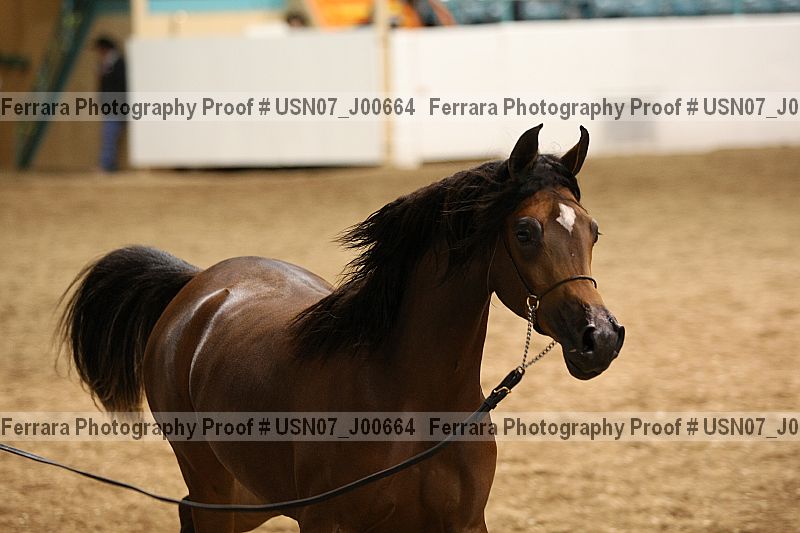 Proof usn07_j00664