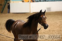 usn07_j00664 proof
