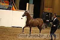 usn07_j00669 proof