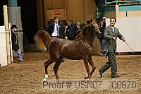 usn07_j00670 proof