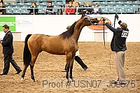 usn07_j00675 proof