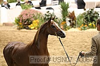 usn07_j00676 proof