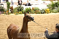 usn07_j00679 proof
