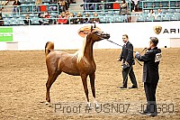 usn07_j00680 proof