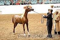 usn07_j00681 proof
