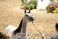 usn07_j00687 proof