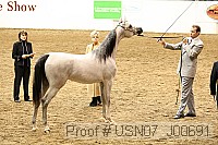 usn07_j00691 proof