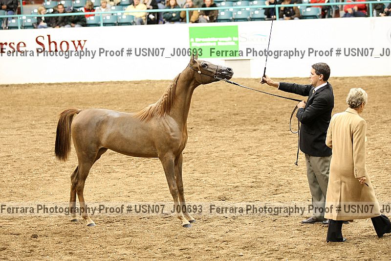 Proof usn07_j00693