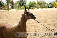 usn07_j00694 proof