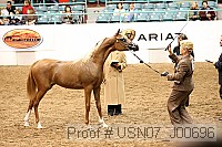 usn07_j00696 proof