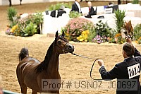 usn07_j00697 proof