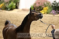 usn07_j00698 proof
