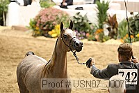 usn07_j00704 proof