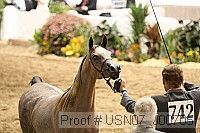 usn07_j00705 proof