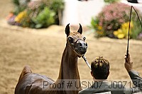 usn07_j00718 proof