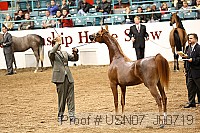 usn07_j00719 proof