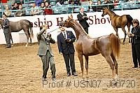 usn07_j00720 proof