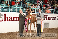 usn07_j08589 proof
