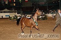 usn07_j08596 proof