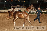 usn07_j08598 proof