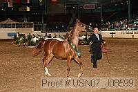 usn07_j08599 proof