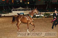 usn07_j08600 proof