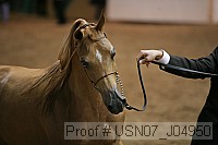 usn07_j04950 proof