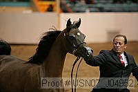 usn07_j04952 proof