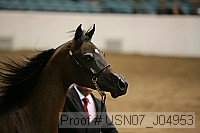 usn07_j04953 proof