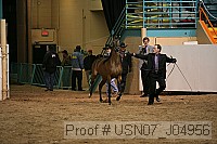 usn07_j04956 proof