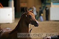 usn07_j04957 proof
