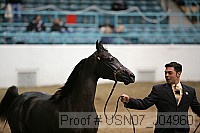 usn07_j04960 proof