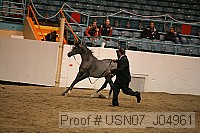 usn07_j04961 proof