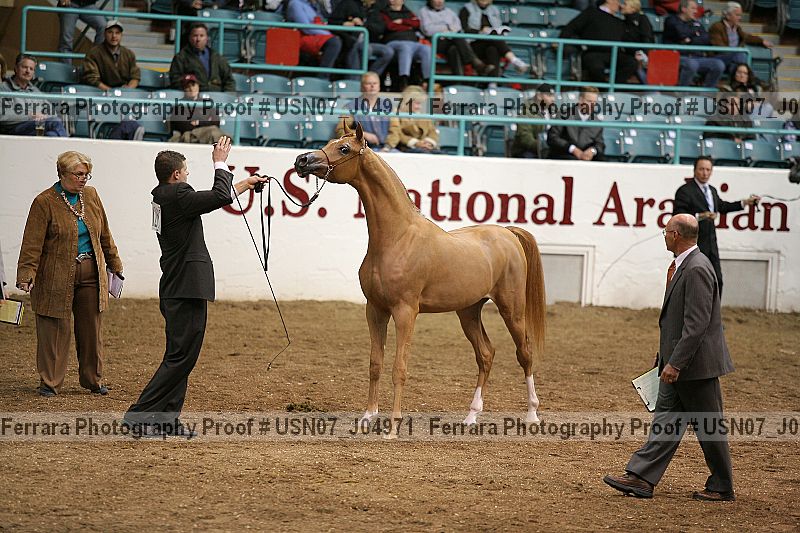 Proof usn07_j04971