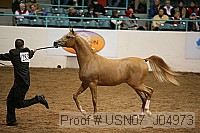 usn07_j04973 proof