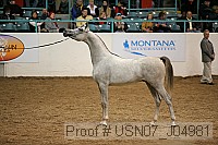 usn07_j04981 proof