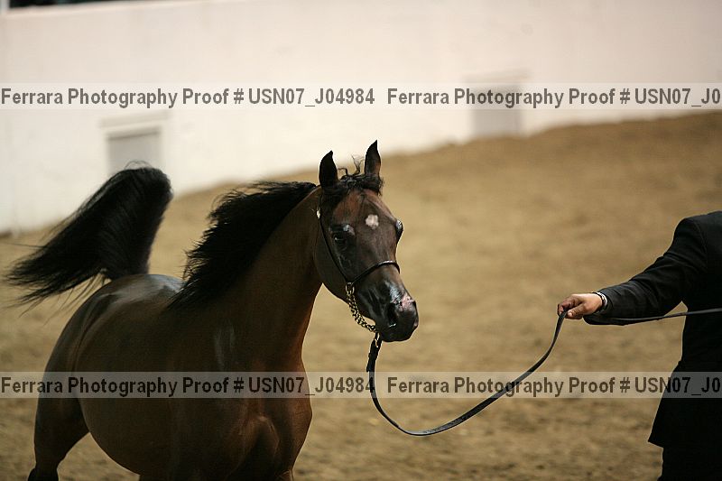 Proof usn07_j04984