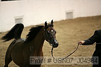 usn07_j04984 proof