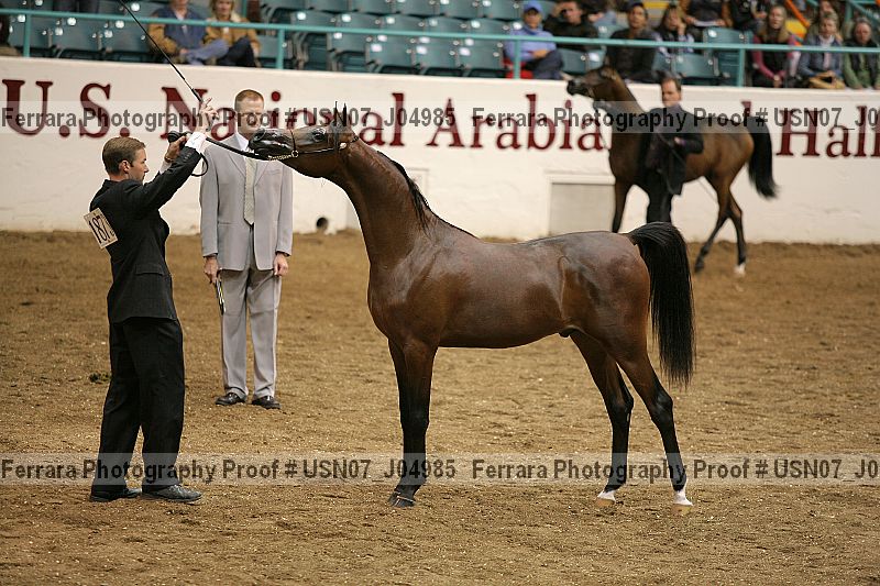 Proof usn07_j04985