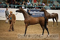 usn07_j04989 proof