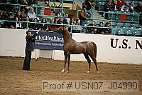 usn07_j04990 proof