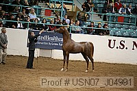usn07_j04991 proof