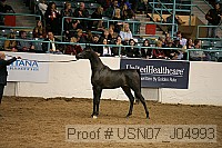 usn07_j04993 proof