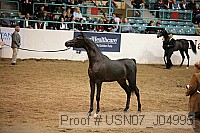 usn07_j04995 proof