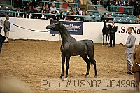 usn07_j04996 proof
