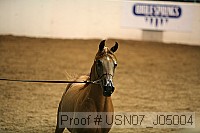 usn07_j05004 proof