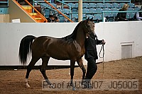 usn07_j05005 proof