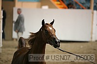 usn07_j05006 proof