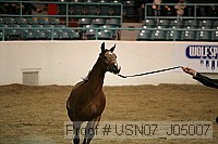usn07_j05007 proof
